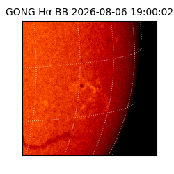 gong - 2026-08-06T19:00:02