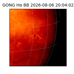 gong - 2026-08-06T20:04:02