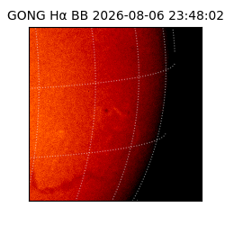 gong - 2026-08-06T23:48:02