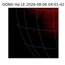 gong - 2026-08-06T04:01:42