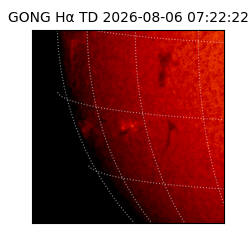 gong - 2026-08-06T07:22:22