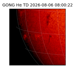 gong - 2026-08-06T08:00:22