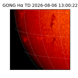gong - 2026-08-06T13:00:22