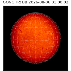 gong - 2026-08-06T01:00:02