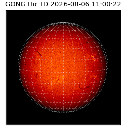 gong - 2026-08-06T11:00:22