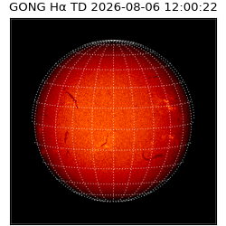 gong - 2026-08-06T12:00:22