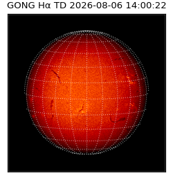 gong - 2026-08-06T14:00:22