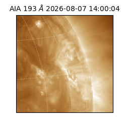saia - 2026-08-07T14:00:04.842000