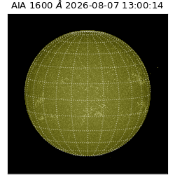 saia - 2026-08-07T13:00:14.124000