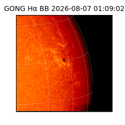 gong - 2026-08-07T01:09:02