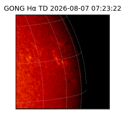 gong - 2026-08-07T07:23:22