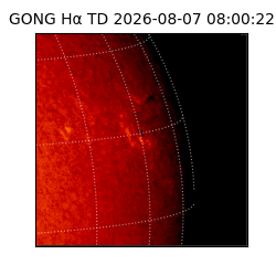 gong - 2026-08-07T08:00:22