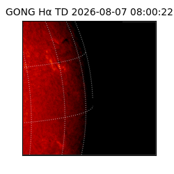 gong - 2026-08-07T08:00:22