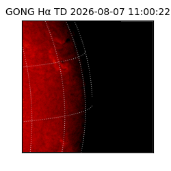 gong - 2026-08-07T11:00:22