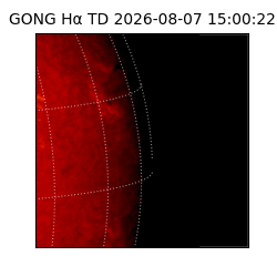 gong - 2026-08-07T15:00:22
