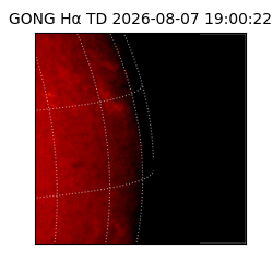 gong - 2026-08-07T19:00:22