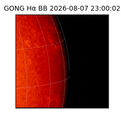 gong - 2026-08-07T23:00:02