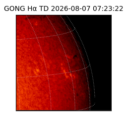gong - 2026-08-07T07:23:22