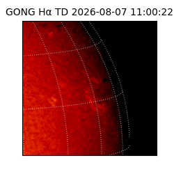 gong - 2026-08-07T11:00:22