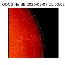 gong - 2026-08-07T21:00:02