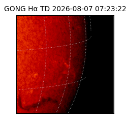 gong - 2026-08-07T07:23:22