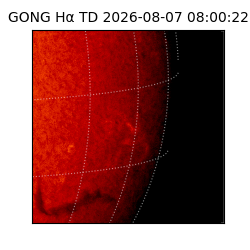 gong - 2026-08-07T08:00:22