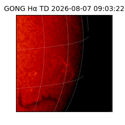 gong - 2026-08-07T09:03:22
