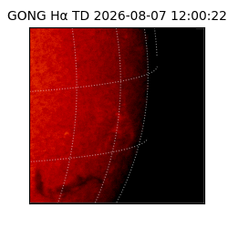 gong - 2026-08-07T12:00:22