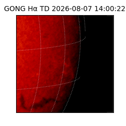 gong - 2026-08-07T14:00:22