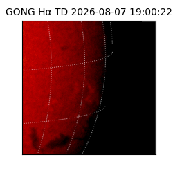 gong - 2026-08-07T19:00:22