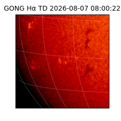 gong - 2026-08-07T08:00:22