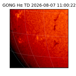 gong - 2026-08-07T11:00:22