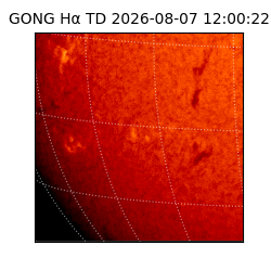 gong - 2026-08-07T12:00:22