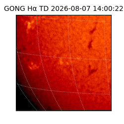 gong - 2026-08-07T14:00:22