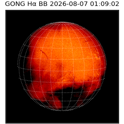gong - 2026-08-07T01:09:02