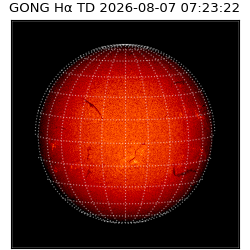 gong - 2026-08-07T07:23:22