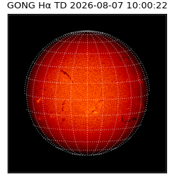 gong - 2026-08-07T10:00:22