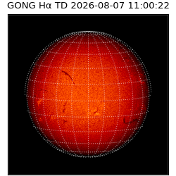 gong - 2026-08-07T11:00:22