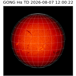 gong - 2026-08-07T12:00:22