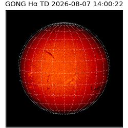 gong - 2026-08-07T14:00:22