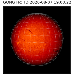 gong - 2026-08-07T19:00:22