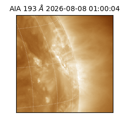 saia - 2026-08-08T01:00:04.842000