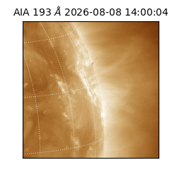saia - 2026-08-08T14:00:04.842000