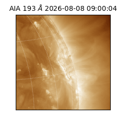 saia - 2026-08-08T09:00:04.842000