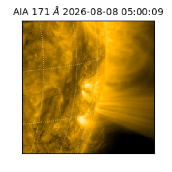saia - 2026-08-08T05:00:09.348000