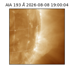 saia - 2026-08-08T19:00:04.842000