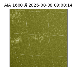 saia - 2026-08-08T09:00:14.120000