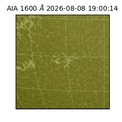 saia - 2026-08-08T19:00:14.131000