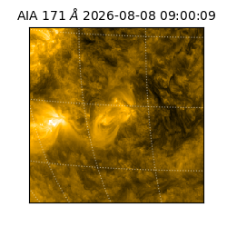 saia - 2026-08-08T09:00:09.350000