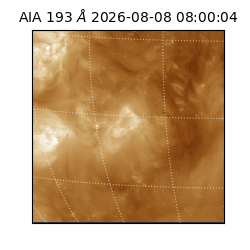saia - 2026-08-08T08:00:04.842000
